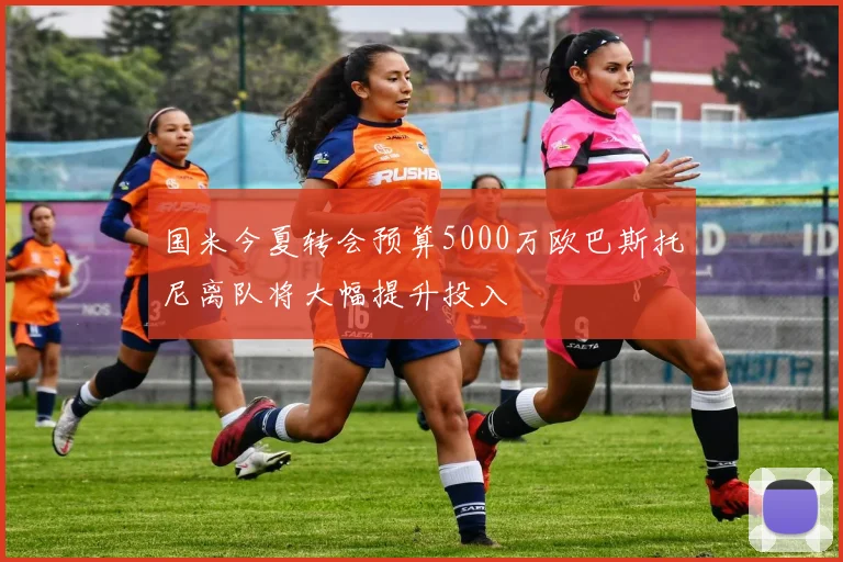 国米今夏转会预算5000万欧巴斯托尼离队将大幅提升投入