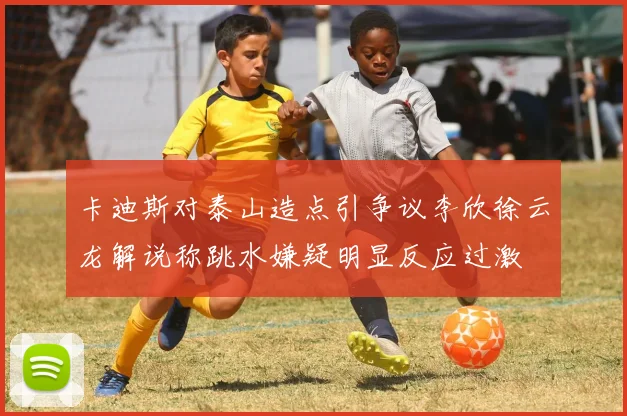 卡迪斯对泰山造点引争议李欣徐云龙解说称跳水嫌疑明显反应过激